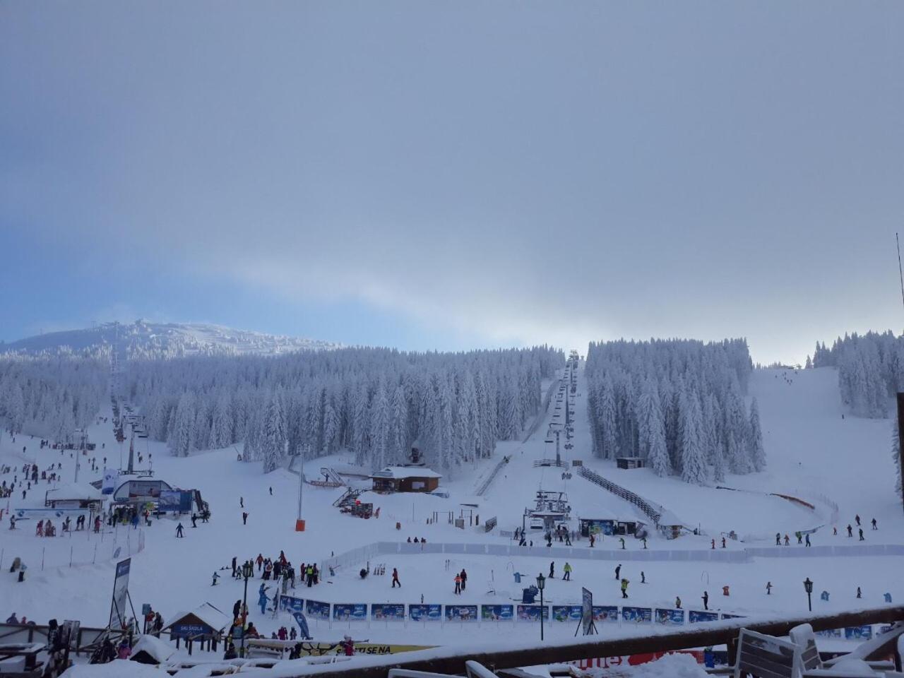 Holiday Home Elena Kopaonik Eksteriør bilde